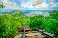 Uitzicht over Honululu in Hawaii van Barbara Riedel thumbnail