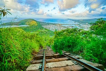 Blick über Honululu in Hawaii von Barbara Riedel