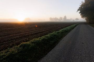 Dutch arable field by Stefan van Nieuwenhoven
