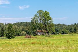 Abandoned hut by Hans-Jürgen Janda