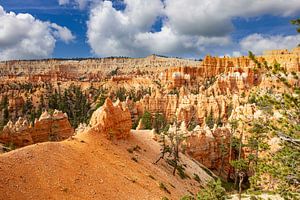 Bryce-Canyon-Nationalpark, Utah USA