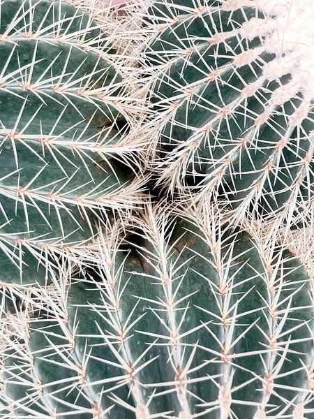 Botanic Love van Danielle Fassbender