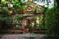 The Greenhouse 10