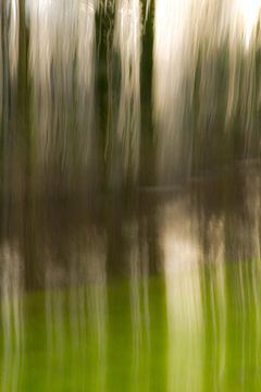 Bomen in het water_02 van Herman de Langen