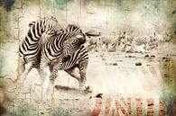 Grunge mixed art van zebra's in het wild van Heleen van de Ven thumbnail