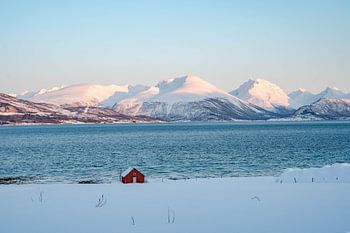 Sonnenuntergang bei Tromso im Winter