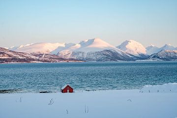 Sonnenuntergang bei Tromso im Winter von Leo Schindzielorz