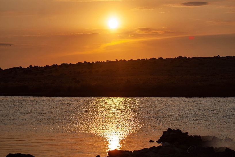 Virmoments van Thomas Depauw