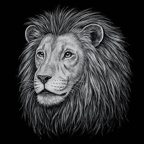 Der König der Stille.
