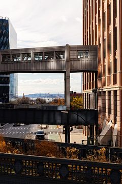 New York: Highline-End in Chelsea mit Freiheitsstatue in der Ferne von Shaquille Maarschalkerweerd