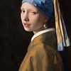 Meisje met de Parel - The Did She Just Wink?? Edition by Marja van den Hurk