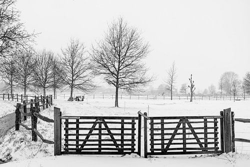 Een sneeuwlandschap, achter het houten hek.