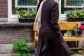 Fleurs à l'extérieur
