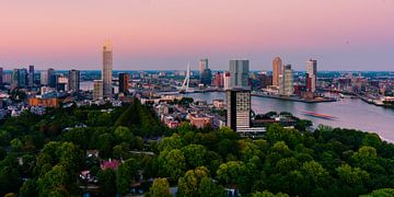 Rotterdam Skyline in pink van Larissa Snoek