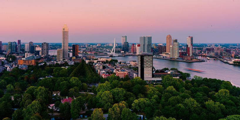 Rotterdamer Skyline in rosa von Larissa Snoek