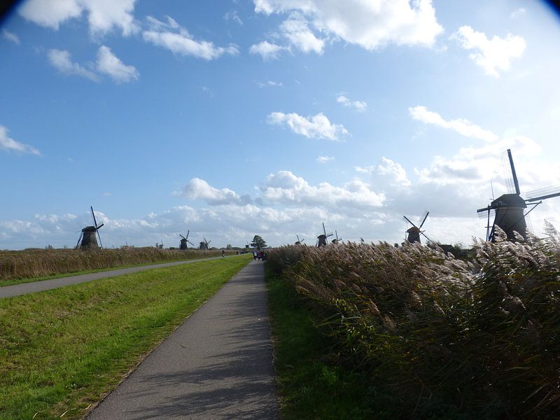 WIndmolens van Kinderdijk par Gijs van Veldhuizen