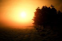 Zon Sneeuw en Mist