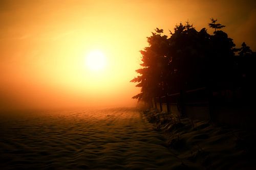 Zon Sneeuw en Mist von Olaf Eckhardt
