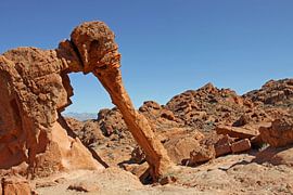 Elefantenfelsen von Antwan Janssen