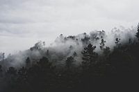 Silent Hill