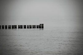 Stillleben am Meer von Frank Herrmann