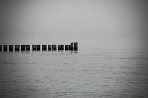 Stillleben am Meer