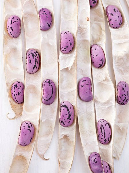 Haricots violets dans leurs cosses par BeeldigBeeld Food & Lifestyle