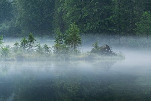 Morning fog at Falkensee