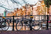 Amsterdam Autumn 