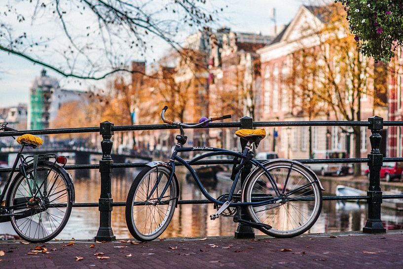 Amsterdam Autumn  by Angel Flores