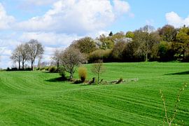Landschap in Limburg sur Angela R.