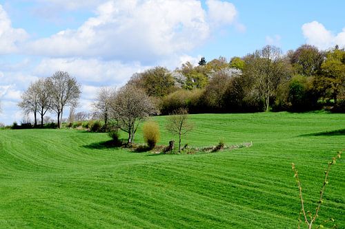 Landschap in Limburg