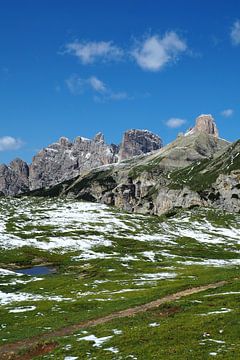 Les Alpes - sauvages, calmes, puissantes et délicates à la fois ️✨ Chaque facette raconte une histoire de nature, de lumière et de vie. sur Miriam Schwarzfischer Fotografie