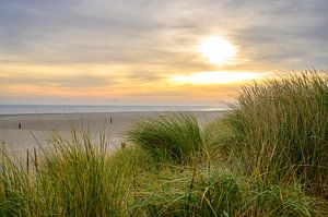 Lever de soleil dans les dunes de l'île de Texel dans la région de la mer des Wadden sur Sjoerd van der Wal Photographie