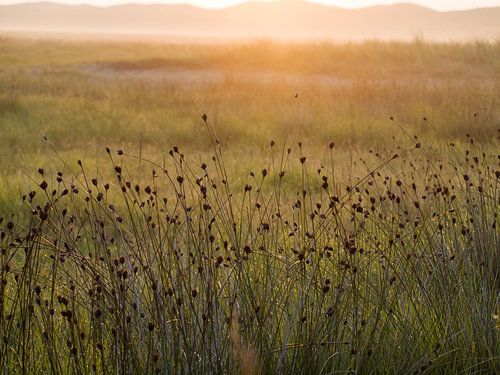 Ochtendgloren in de slufter