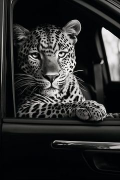 Jaguar in de auto van BlackPeonyX