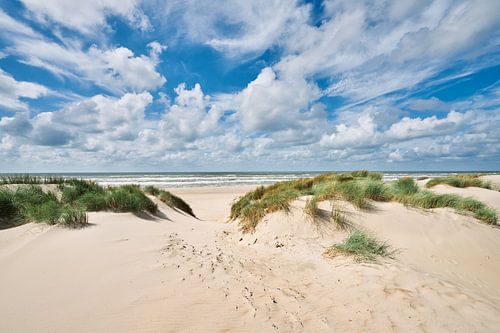 paysage de dunes avec la mer du Nord et la plage