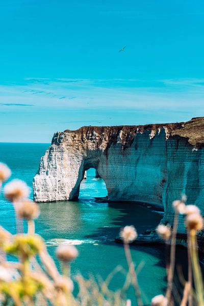 Etretat Normandy by Alex van der Aa