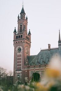 Palais de la Paix de La Haye, Palais de la Paix sur Jonai