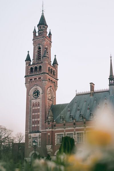 Vredespaleis Den Haag, Peace Palace van Jonai