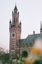 Vredespaleis Den Haag, Peace Palace van Jonai thumbnail