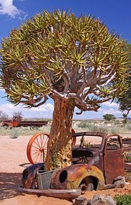 Oldtimer in der Wüste - Namibia von W. Woyke