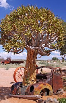 Oldtimer in the desert - Namibia van W. Woyke