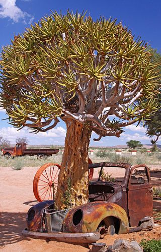 Oldtimer in der Wüste - Namibia