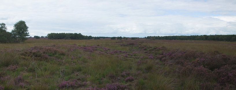 Een panorama van de Ermelosche heide van Gerard de Zwaan