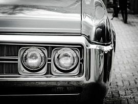 Buick-Wildkatze von Esmee Meijer