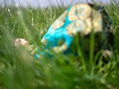 Liggen in het gras von Margreet van Tricht Miniaturansicht