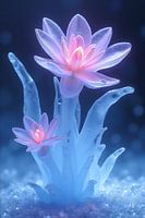 Eis Lotus