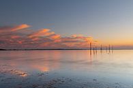 Reflecterende zonsondergang met vispalen van Bas Verschoor thumbnail