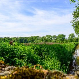 Lente in de Kempen: Beeklandschap in Rijkevorsel van Kristof Leffelaer